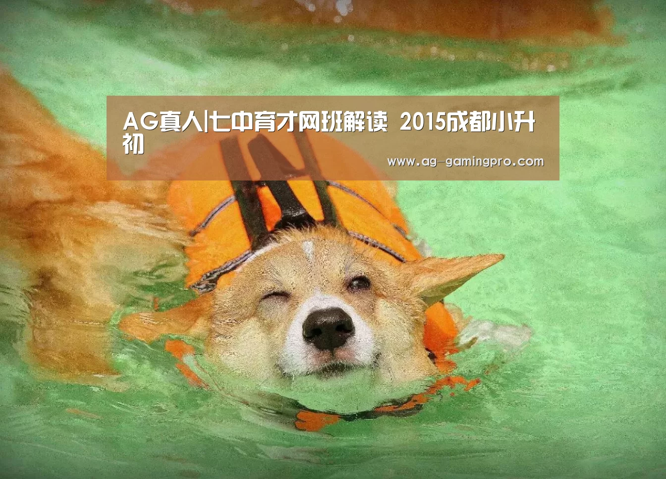 AG真人