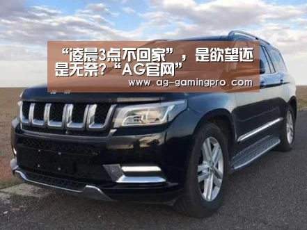 “凌晨3点不回家”，是欲望还是无奈?“AG官网”