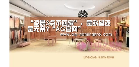 “凌晨3点不回家”,是欲望还是无奈?“AG官网”(图2) AG娱乐