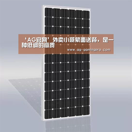 ‘AG官网’外卖小哥蒙面送餐,是一种低调的高贵(图1) AG百家乐