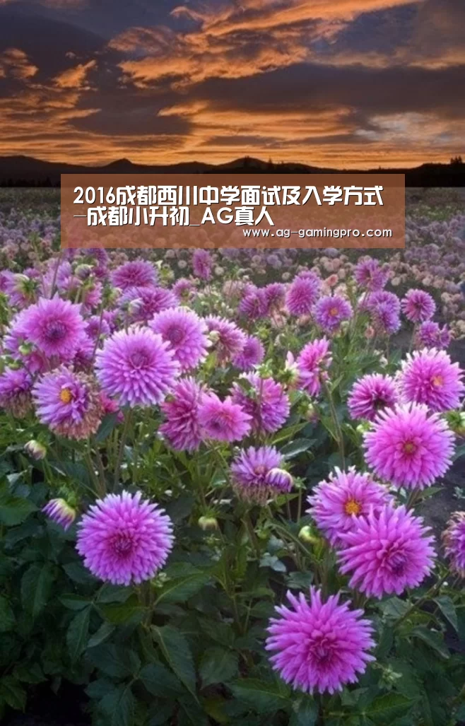 2016成都西川中学面试及入学方式-成都小升初_AG真人(图2) AG真人